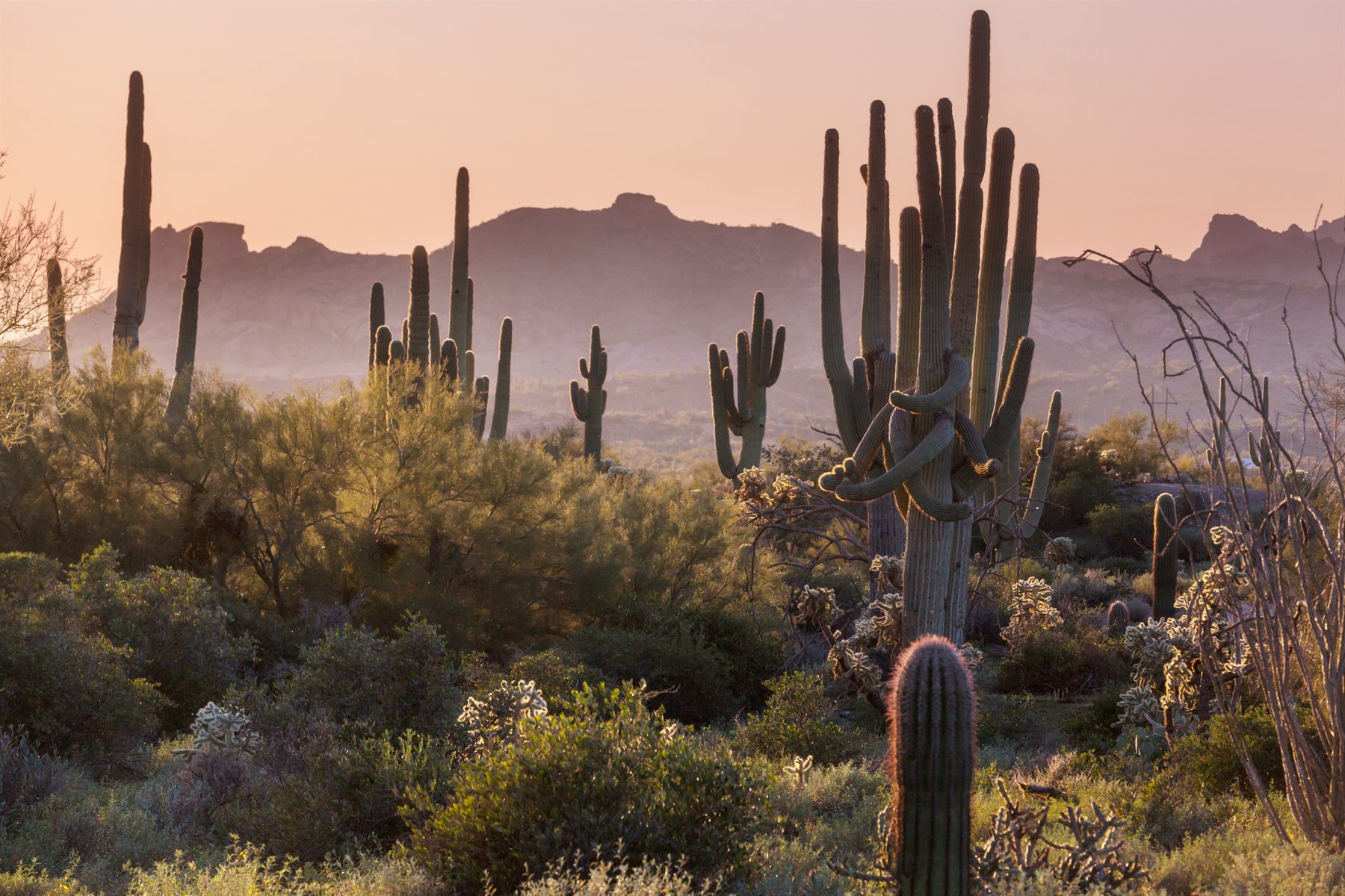Cave Creek & Carefree area homes and Arizona lifestyle