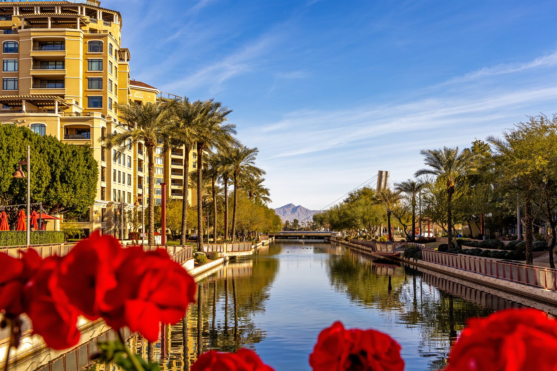 Living in Scottsdale area homes and Arizona lifestyle